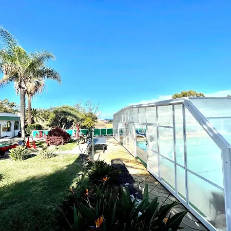 Bright Superior Studio With Free Wifi,pool, Terrace In Puerto De La Cruz * Puerto de la Cruz (Tenerife)