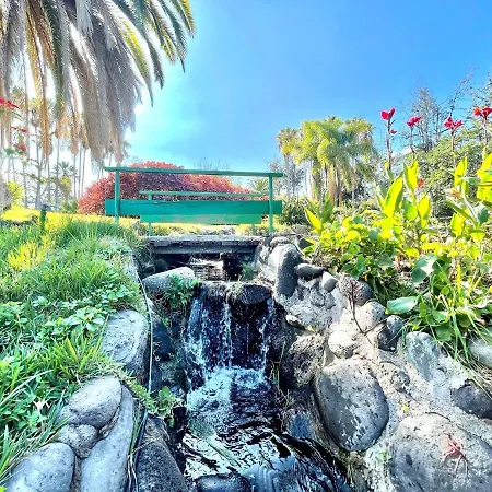 Bright Superior Studio With Free Wifi,pool, Terrace In Puerto De La Cruz Lägenhet *