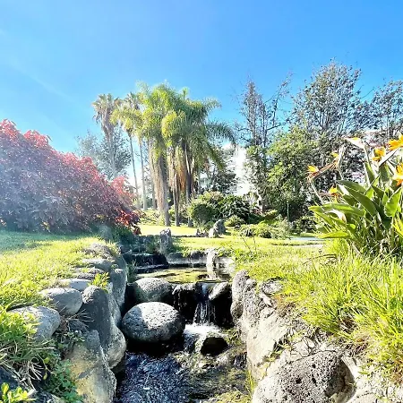 Lägenhet Bright Superior Studio With Free Wifi,pool, Terrace In Puerto De La Cruz *