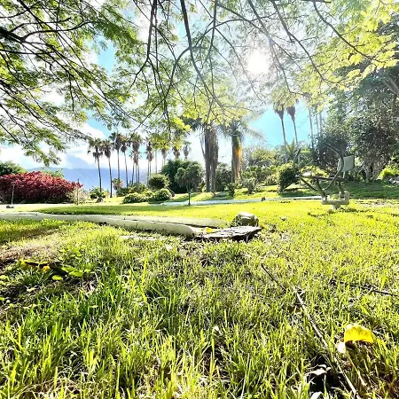 Bright Superior Studio With Free Wifi,pool, Terrace In Puerto De La Cruz *