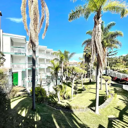 Bright Superior Studio With Free Wifi,pool, Terrace In Puerto De La Cruz