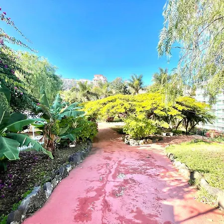 Bright Superior Studio With Free Wifi,pool, Terrace In Puerto De La Cruz Lägenhet Puerto de la Cruz (Tenerife)