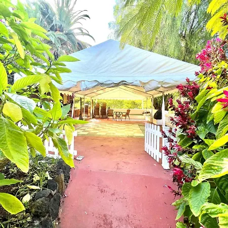 Lägenhet Bright Superior Studio With Free Wifi,pool, Terrace In Puerto De La Cruz