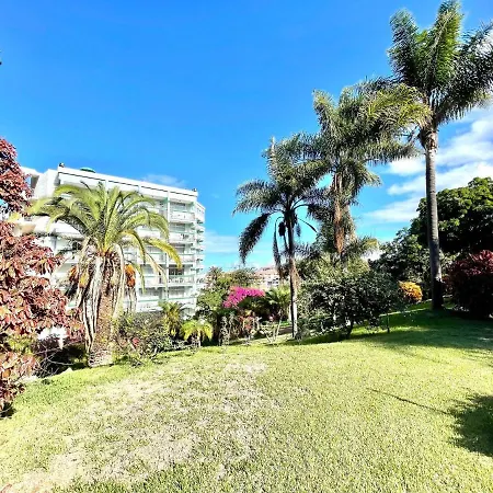 Bright Superior Studio With Free Wifi,pool, Terrace In Puerto De La Cruz *