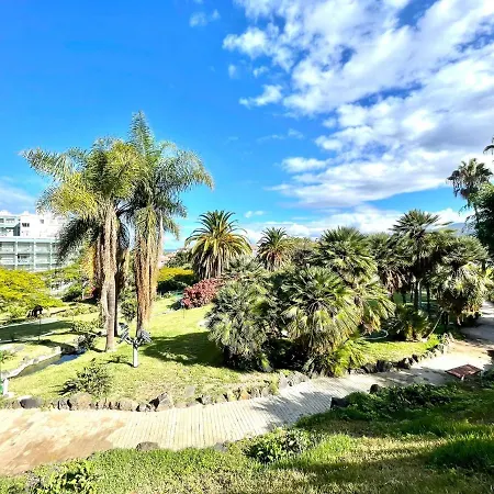 Bright Superior Studio With Free Wifi,pool, Terrace In Puerto De La Cruz Lägenhet
