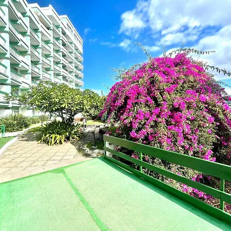 Bright Superior Studio With Free Wifi,pool, Terrace In Puerto De La Cruz Appartement