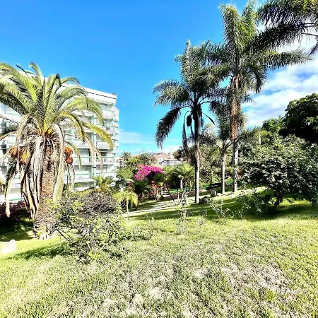 Appartement Bright Superior Studio With Free Wifi,pool, Terrace In Puerto De La Cruz