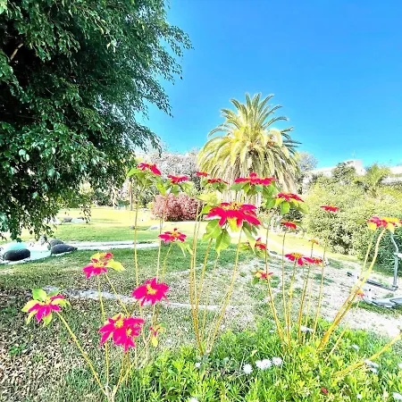 Appartement Bright Superior Studio With Free Wifi,pool, Terrace In Puerto De La Cruz Puerto de la Cruz (Tenerife)