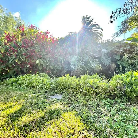 Lejlighed Bright Superior Studio With Free Wifi,pool, Terrace In Puerto De La Cruz *